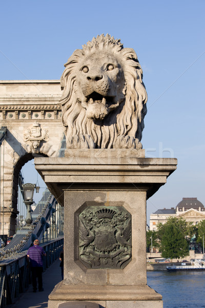 Lion Sculpture on Chain Bridge in Budapest Stock photo © rognar