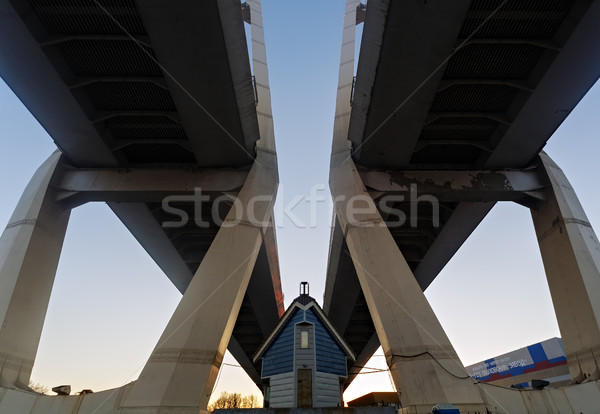 Big Obukhov bridge over the river Neva Stock photo © Roka