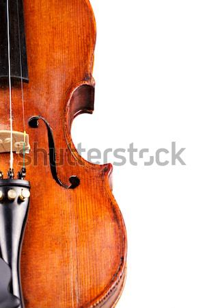 Violin on white Stock photo © Roka