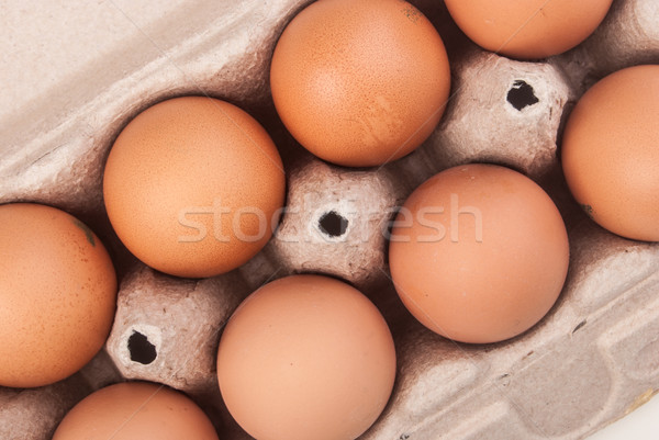 Uova dieci pollo contenitore isolato bianco Foto d'archivio © Romas_ph