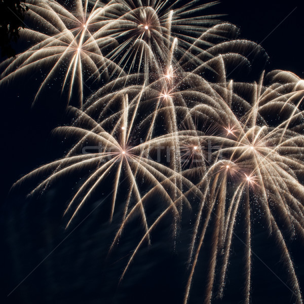 Colorful fireworks over dark sky Stock photo © rozbyshaka