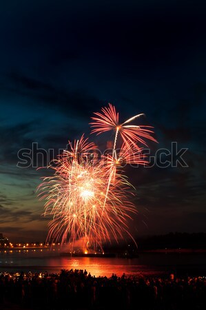 Brightly colorful fireworks  in the night sky  Stock photo © rozbyshaka