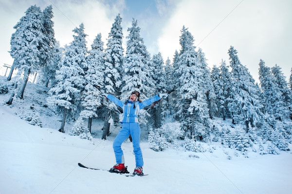 Imagine de stoc: Bucurie · schi · copac · zăpadă · iarnă · distracţie