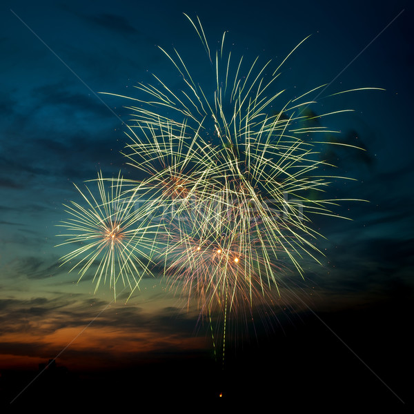 Сток-фото: красочный · фейерверк · ночное · небо · различный · цветами · вечеринка