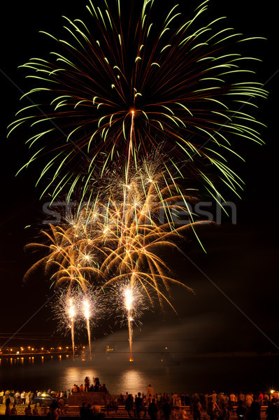 Colorato fuochi d'artificio cielo notturno colori party Foto d'archivio © rozbyshaka