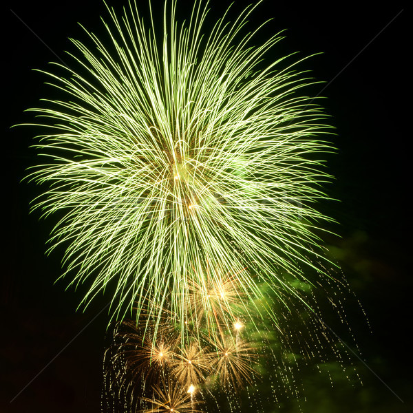 Kleurrijk vuurwerk nachtelijke hemel kleuren partij Stockfoto © rozbyshaka