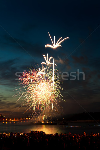 Színes tűzijáték éjszakai ég különböző színek buli Stock fotó © rozbyshaka