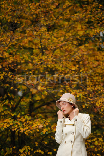 attractive woman in evening autumn park Stock photo © rozbyshaka
