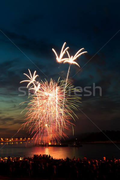 Brightly colorful fireworks  in the night sky  Stock photo © rozbyshaka