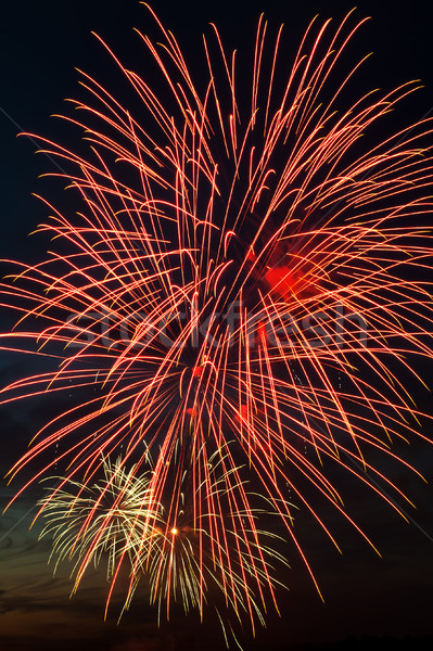 Brightly colorful fireworks  in the night sky  Stock photo © rozbyshaka