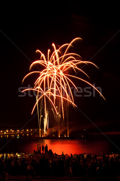 Foto stock: Colorido · fuegos · artificiales · cielo · de · la · noche · colores · fiesta