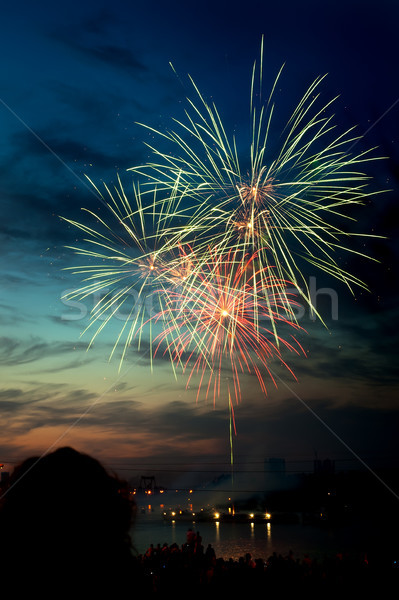 Kleurrijk vuurwerk nachtelijke hemel kleuren partij Stockfoto © rozbyshaka