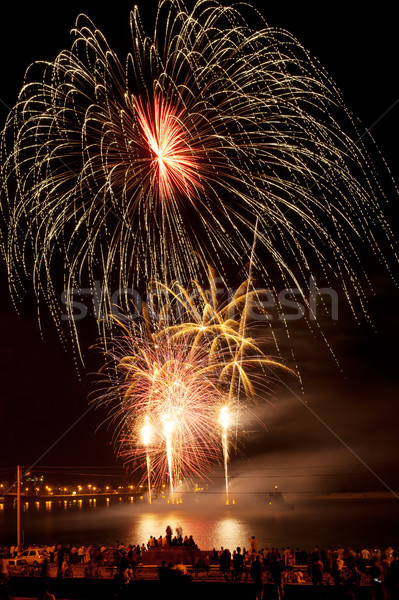 Colorido fogos de artifício céu noturno cores festa Foto stock © rozbyshaka