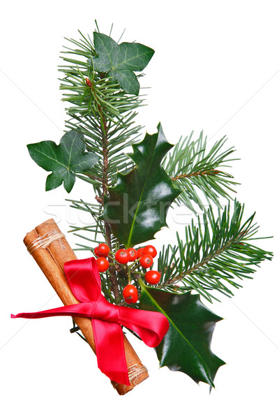 Christmas decoration with holly cinnamon and red bow. Stock photo © RTimages