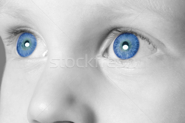 Blue eyed boy Stock photo © RTimages