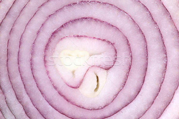 Red Onion Macro Stock photo © RTimages