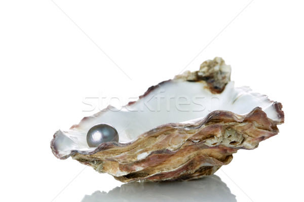 Foto d'archivio: Nero · perla · ostrica · shell · isolato · bianco