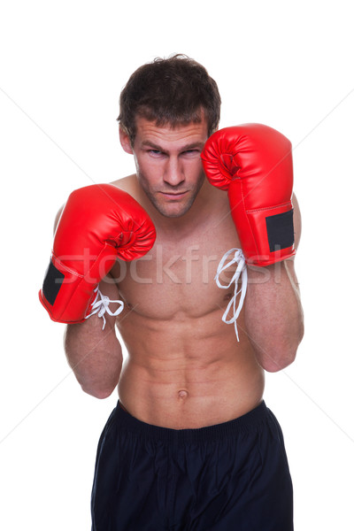 Male boxer isolated Stock photo © RTimages