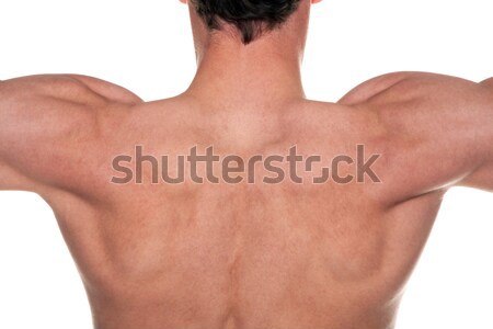 Mans back Stock photo © RTimages