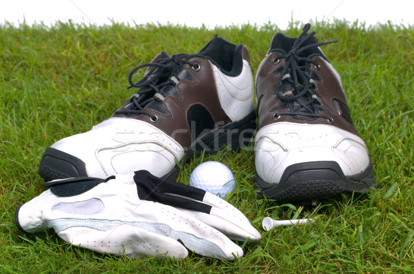 Golf accessories on grass Stock photo © RTimages
