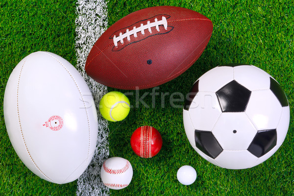 Sports balls on grass from above. Stock photo © RTimages