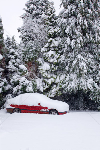 Kırmızı araba kapalı kar terkedilmiş park Stok fotoğraf © RTimages
