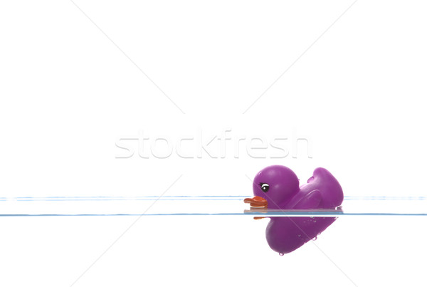 Lila Ente Untergang Gummi Wasseroberfläche Wasser Stock foto © RTimages