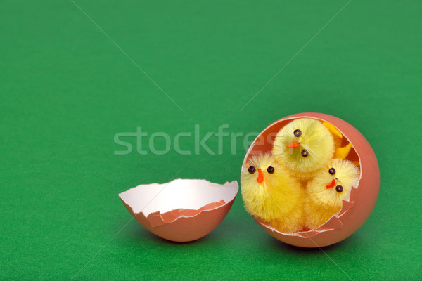 Three easter chicks in an egg shell Stock photo © RTimages