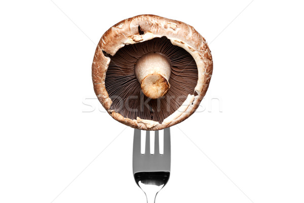 Imagine de stoc: Ciupercă · furculiţă · izolat · alb · fotografie · sănătate