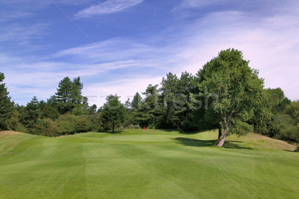 Approach to putting green Stock photo © RTimages