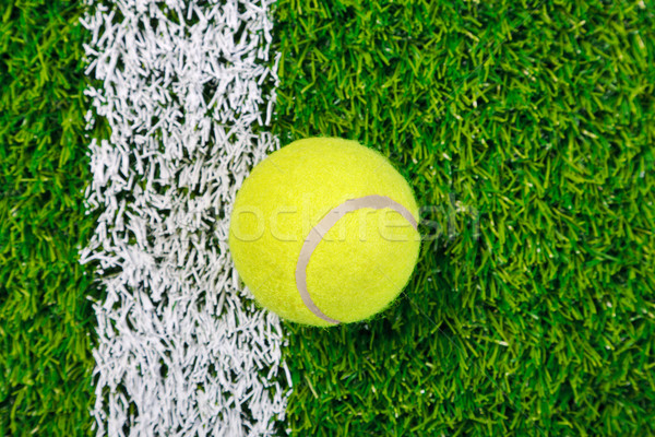Tennisbal gras boven foto witte lijn Stockfoto © RTimages
