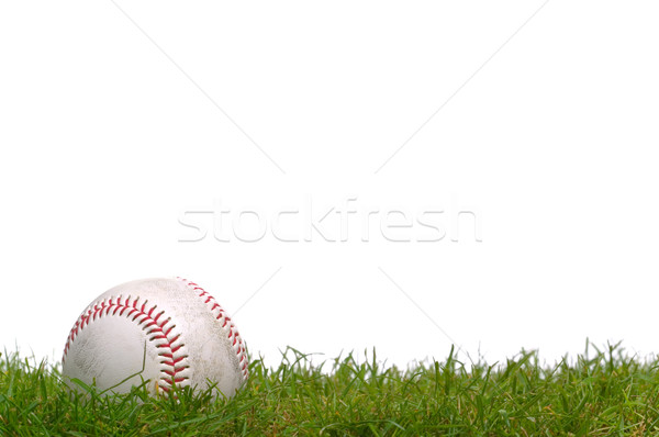 Baseball trawy posiedzenia shot biały tle Zdjęcia stock © RTimages