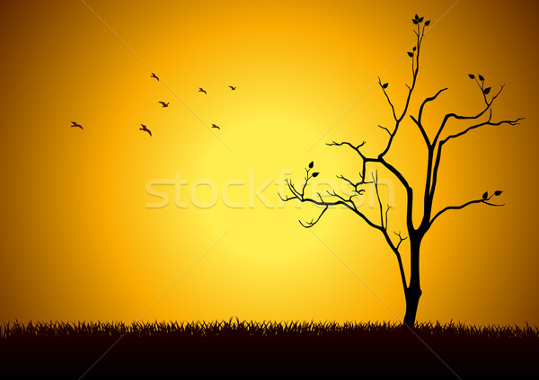 Hoffnung hat Illustration Baum Silhouette Sonne Stock foto © rudall30