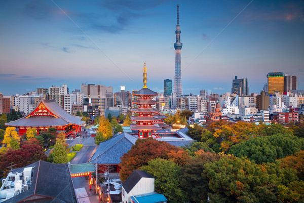 Stockfoto: Tokio · stadsgezicht · afbeelding · skyline · tempel · schemering