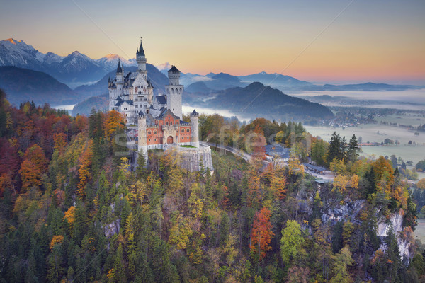 Castello di Neuschwanstein Germania view autunno crepuscolo Foto d'archivio © rudi1976