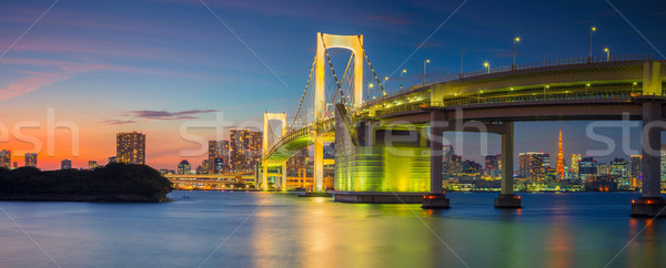 Rainbow Bridge Panorama, Tokyo. Stock photo © rudi1976