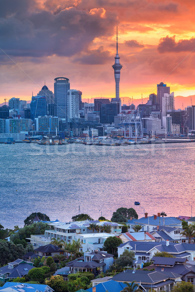 Auckland.  Stock photo © rudi1976