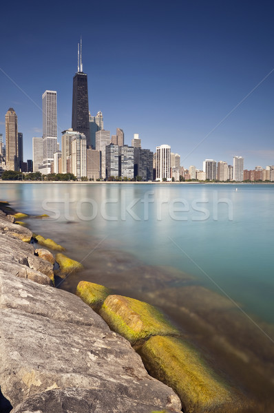 Chicago skyline Stock photo © rudi1976