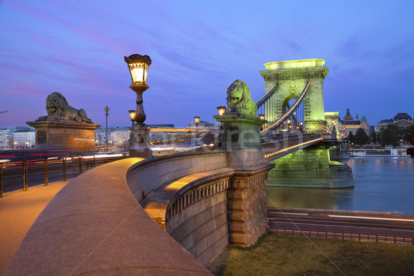 Szechenyi Chain Bridge, Budapest. Stock photo © rudi1976