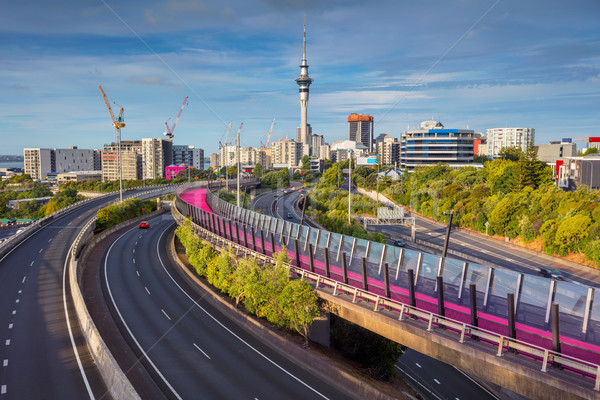 Auckland. Stock photo © rudi1976