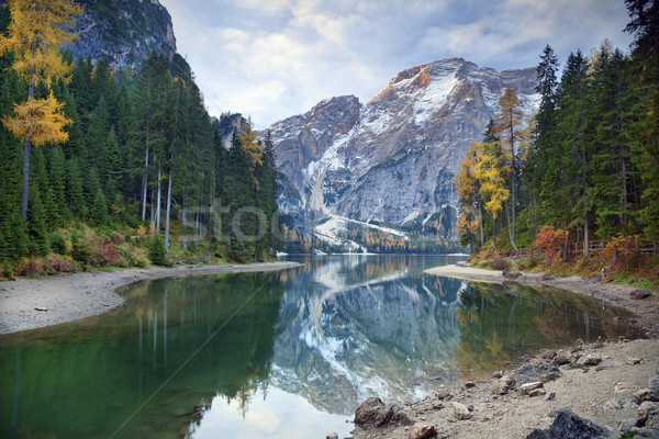Autunno alpi idilliaco lago colorato foresta Foto d'archivio © rudi1976