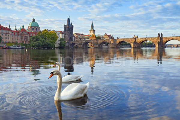 Stock foto: Prag · Bild · Brücke · Paar