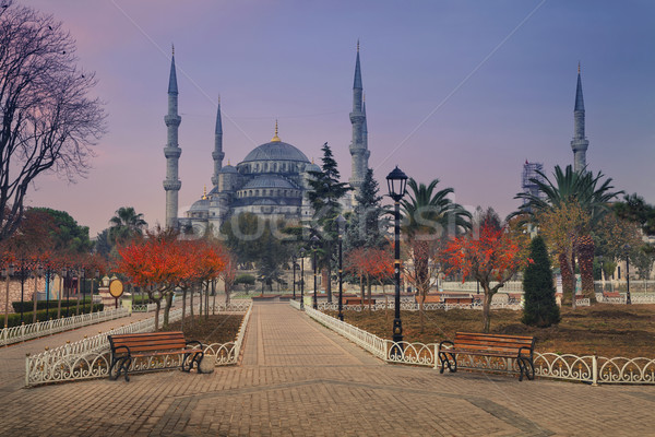 Istanbul afbeelding Blauw moskee Turkije hemel Stockfoto © rudi1976