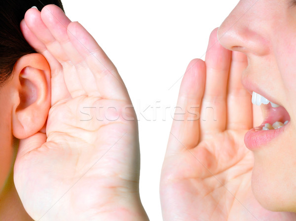 Beszéd hallgat nő beszél másik hallgat Stock fotó © ruigsantos