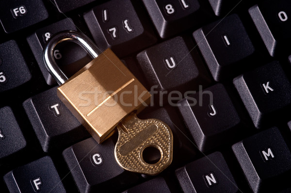 Computer Security Stock photo © ruigsantos