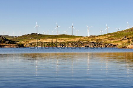 Frau schauen Wind Mühle See Stock foto © ruigsantos