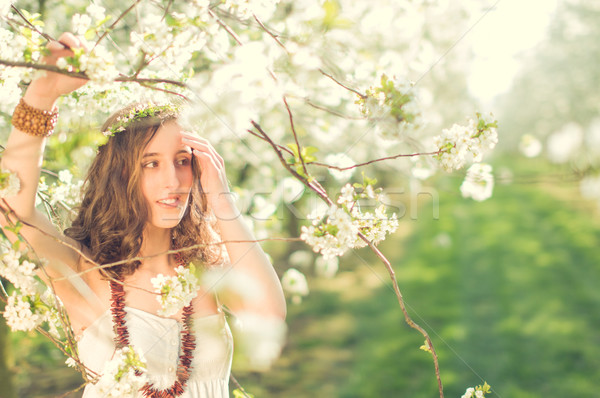 Ragazza fiore di ciliegio abito bianco piedi sorridere Foto d'archivio © runzelkorn