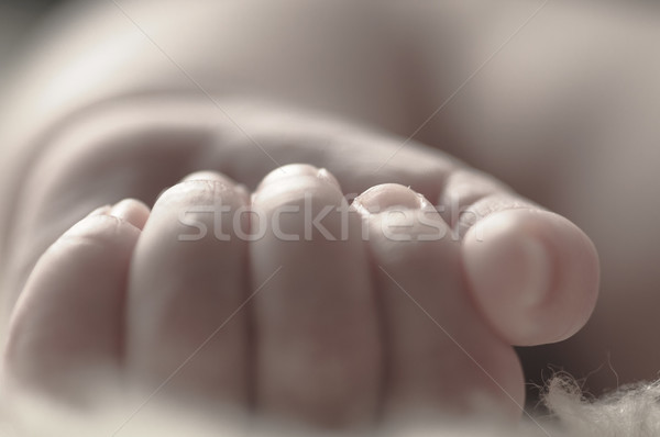 Mano dolce piccolo dita Foto d'archivio © runzelkorn