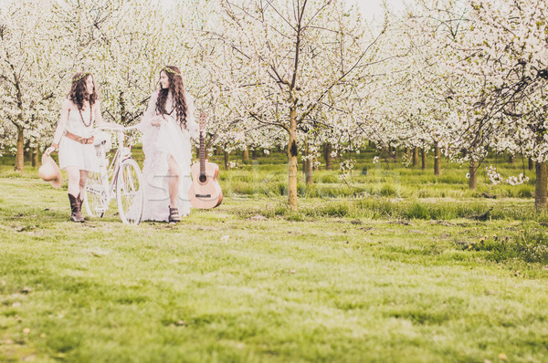 ходьбы Cherry Blossom два носить долго Сток-фото © runzelkorn