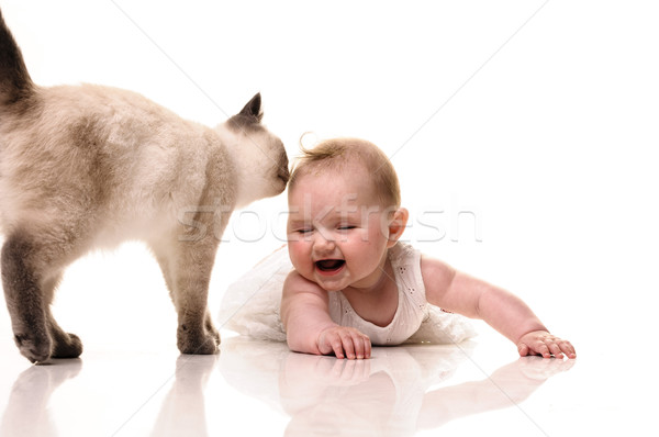 Baby with kitten Stock photo © runzelkorn